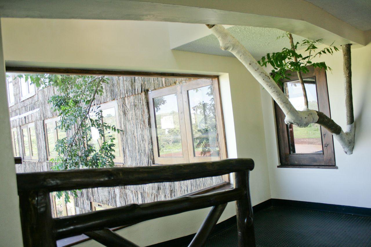 Treetops Mweiga Luaran gambar