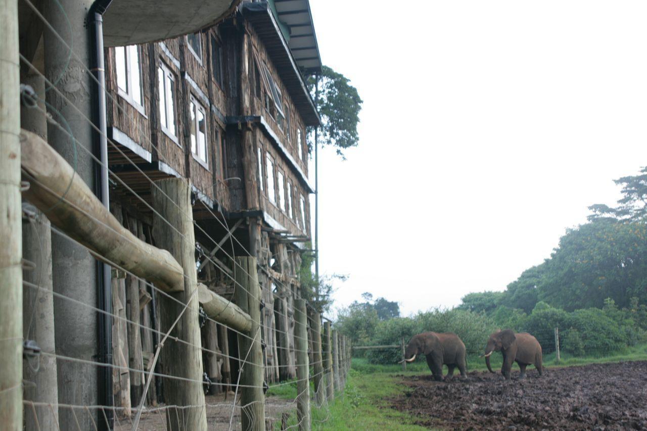 Treetops Mweiga Luaran gambar