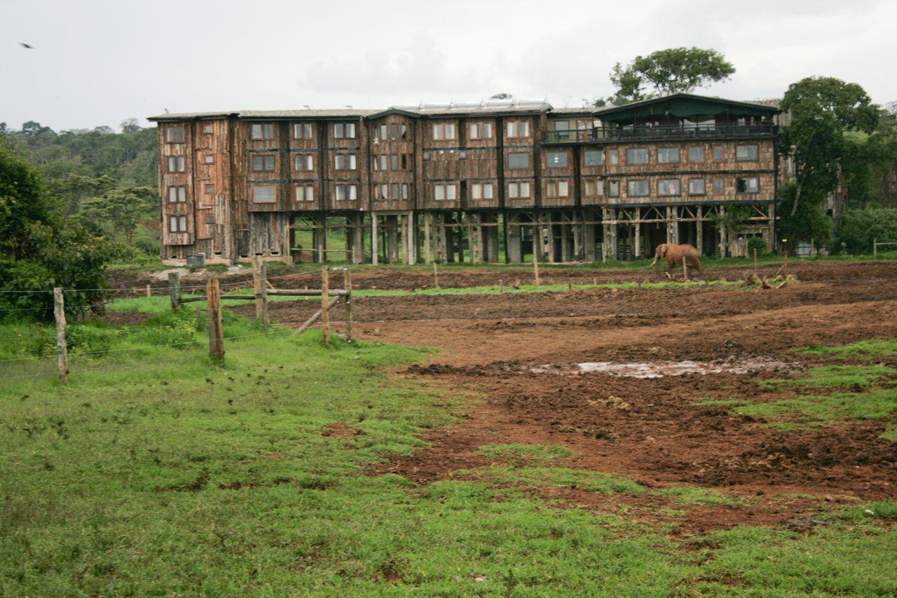 Treetops Mweiga Luaran gambar