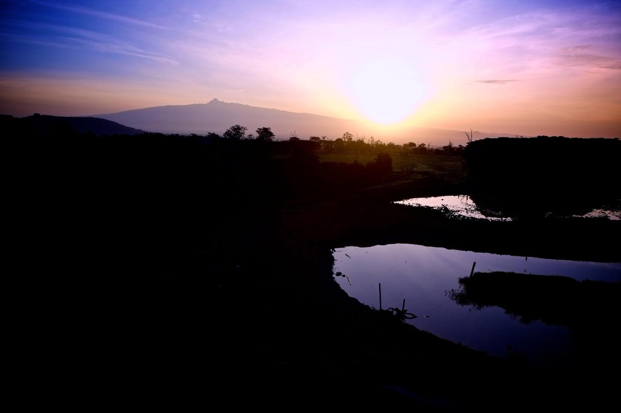 Treetops Mweiga Luaran gambar
